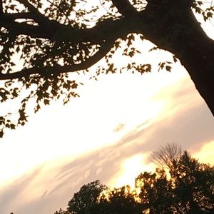 Meet your Posher, Valeria